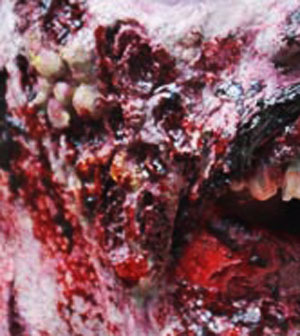 rot